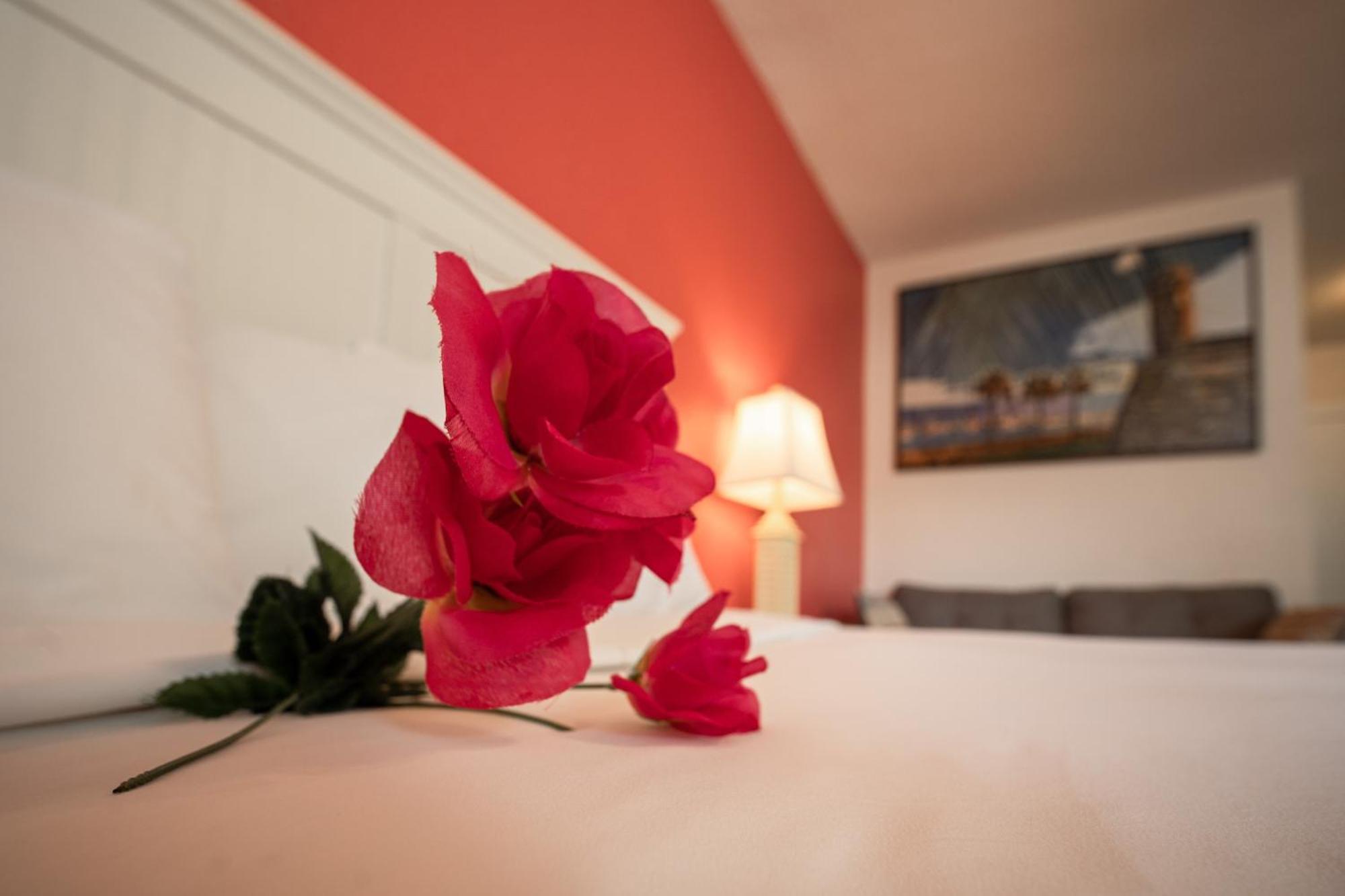 Island Sun Inn & Suites - Venice, Florida Historic Downtown & Beach Getaway الغرفة الصورة